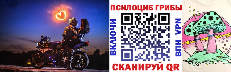 darknet как зайти  Абакан  Галлюциногенные грибы Psilocybe  наркотики 